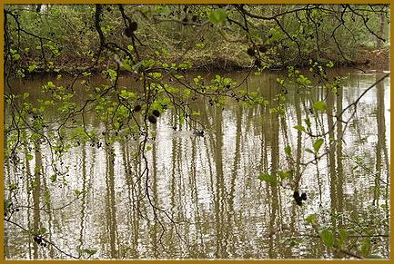 dimanche campagne 2009