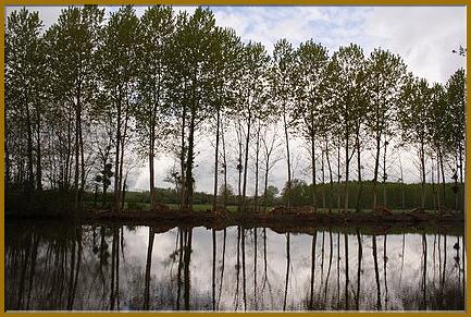 dimanche campagne 2009